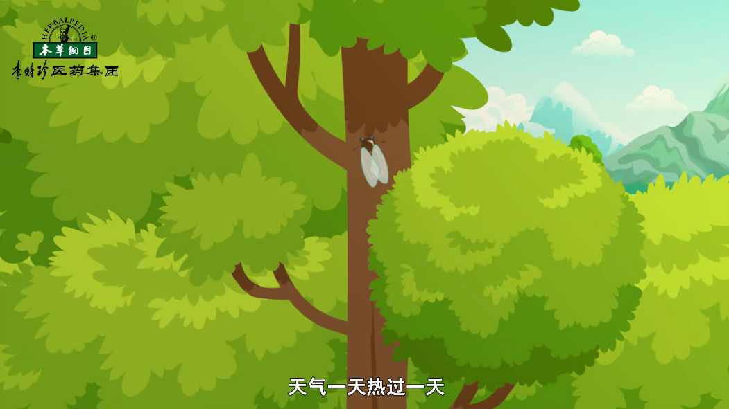 小暑节气，湿热多汗，记得多喝水